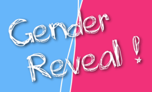 gender Reveal - Artifice pas cher